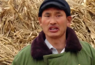朱之文儿女没法去工作，老板们把他们当摇钱树，只想薅大衣哥羊毛