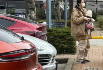网友探访王祖贤艾灸馆！姐姐穿拖鞋抱小狗很优雅