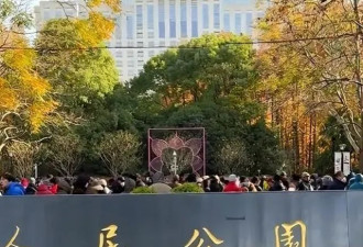 上海相亲角现状 令人叹为观止