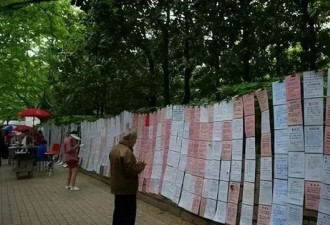 上海相亲角现状 令人叹为观止