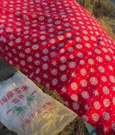 “山东风野餐”成开春第一网红潮流
