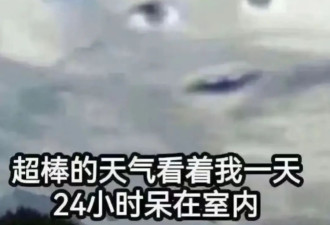 “山东风野餐”成开春第一网红潮流