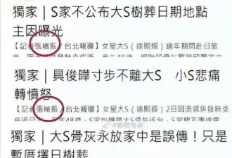S妈接受和解 台媒曝出细节 张兰的话很在理
