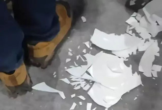 印度投资大会秒变“抢食乱战”，争夺餐盘似拔河