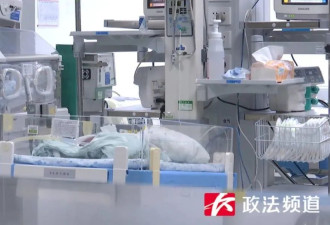 罕见！双胞胎姐妹相隔3天出生，仅在腹中待了27周