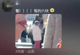 北京大妈“喷口水”为糖葫芦保湿 网民称恶心
