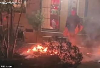 富婆在自家豪宅纵火 手握大砍刀 遭警方击毙