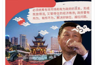 习近平为何强调“我是一贯支持民营企业的”?