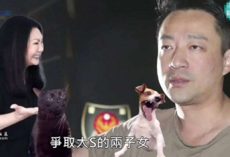 大S遗产分配风波: 具俊晔未按约定转赠,S妈疑不满