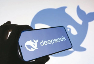 曝DeepSeek成本利润率545% 震惊世界 公司回应…