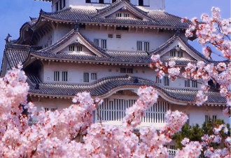 邂逅多元魅力的梦幻旅游胜地——日本