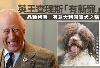英王查理斯三世“有新宠”？国王超迷恋 名字曝光…