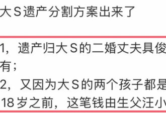 大S遗产分割方案出炉，归具俊晔和大S儿女所有，S妈成了跳梁小丑