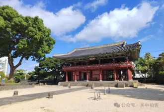 面朝大海：申威隆的四天韩国济州岛之旅