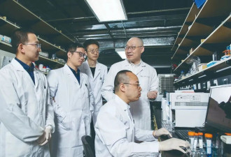 抗癌新希望！中国科学家破解肿瘤与细菌的对话