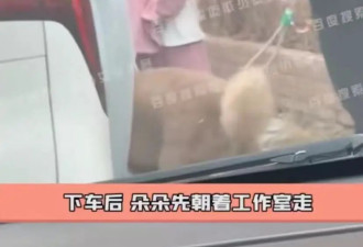 佟丽娅带儿子现身陈思诚工作室，离婚后关系不错