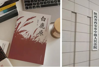 《白鹿原》两句经典骂语,替数千百姓送给西安中院