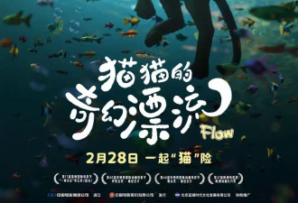 奥斯卡获奖动画电影国内票房遇冷 上映四天票房仅600万