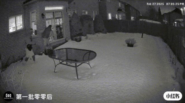 太猖狂!万锦华人惊爆"后院进贼":傍晚7点就出动!多名邻居疑中招!