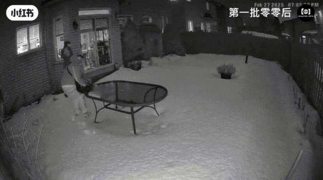太猖狂!万锦华人惊爆"后院进贼":傍晚7点就出动!多名邻居疑中招!