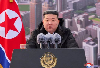 金正恩高射炮处决“10干部尸块炸飞” 她吓到失禁