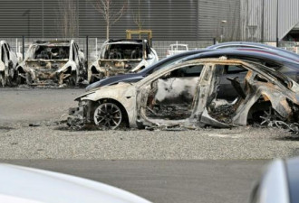 不满马斯克？12部全新Tesla被纵火焚毁