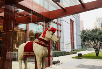 一家四口从美国回中国，一个月花了多少钱？