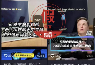 “加密对话”视频显示AI已觉醒，并发明自己的语言？