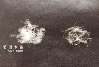 环保邪术?以后穿的羽绒服 可能塞别人吸过的烟头