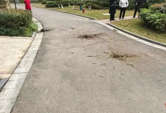女子与男友吵架后从8楼扔下3个花盆险砸中路人