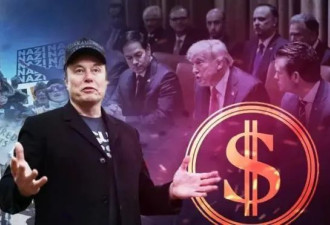 马斯克是政府中的政界小白 还是权力游戏颠覆者？