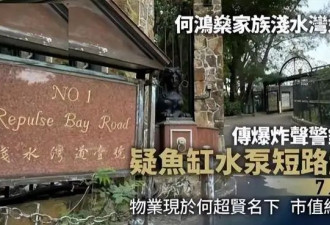 港媒曝赌王家族豪宅突发大火 疑因这个