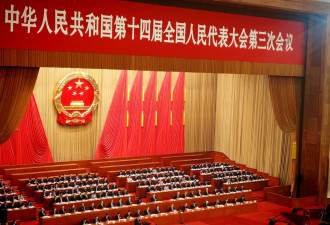 首次进入中国政府工作报告的这些新词，解读来了