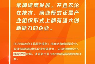 首次进入中国政府工作报告的这些新词，解读来了