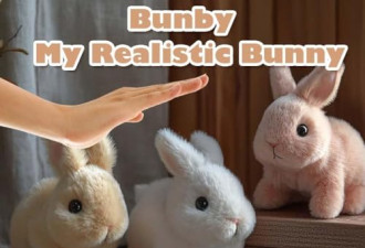 7 折, My Realistic Bunny Toy