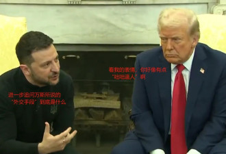 惹怒网友，美副总统JD Vance的后果来了