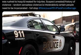 温哥华市中心恶汉追砍警察，专攻下盘！网友的评论亮了
