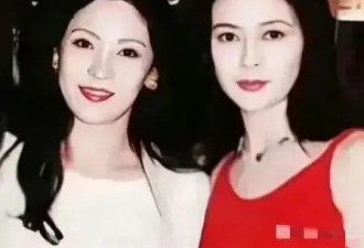 向太曝刘德华粉丝曾欲打关之琳，称粉丝只接受她一个女人与其同框