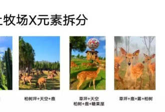 从服务员到年入千万的老板，网红景点推手到底有多赚钱