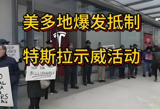 成也马斯克败也马斯克 特斯拉全球销量大跌