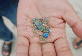 微塑料正快速侵入人脑 研究者称“不寒而栗”