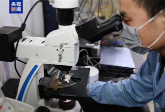 中国破解太阳能电池长寿密码