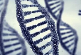当救命药标价210万美元：为何变药物成资本造富机器？