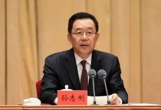 中国正部级“老虎”孙志刚，被两高点名