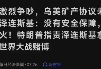 美国开始不当人了，我更支持泽连斯基了