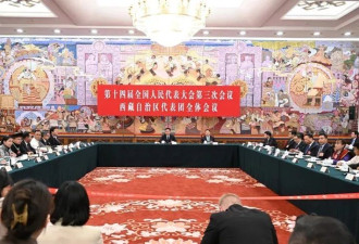 西藏高官指控：达赖集团不断通过反华势力干扰教育