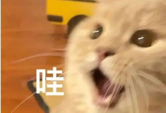 学位“秒光”，广州老年大学首个DeepSeek班爆满