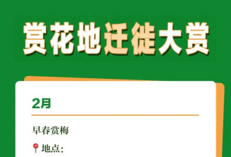 第一批去春游的江浙沪小镇贵妇，已经崩溃在路上