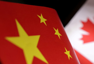 中国对部分加拿大农产品食品报复性关税 最高100%