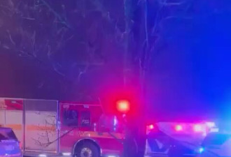 多伦多酒吧枪击案 已知12人受伤 蒙面嫌犯在逃